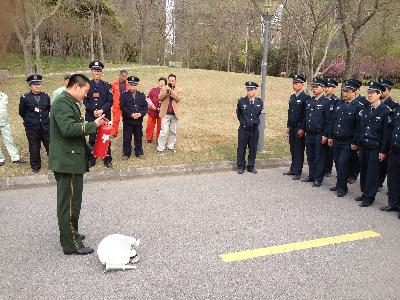 點擊查看原圖